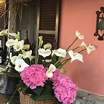 Hotel Paradiso Di Manù Noli