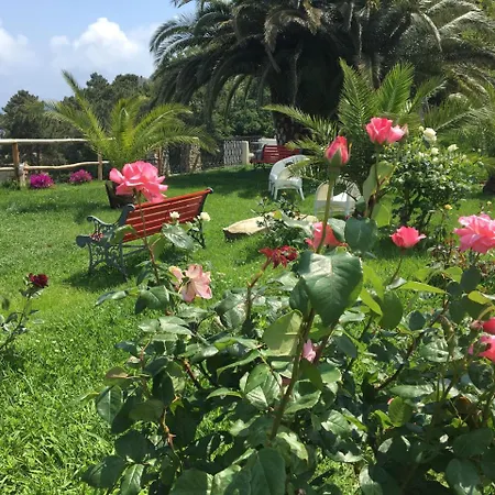 Paradiso Di Manu Noli