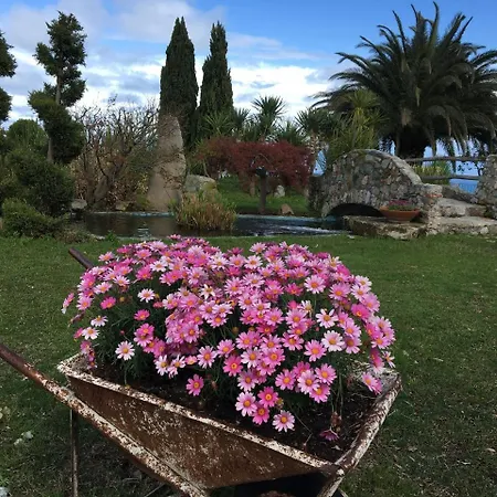 Paradiso Di Manu