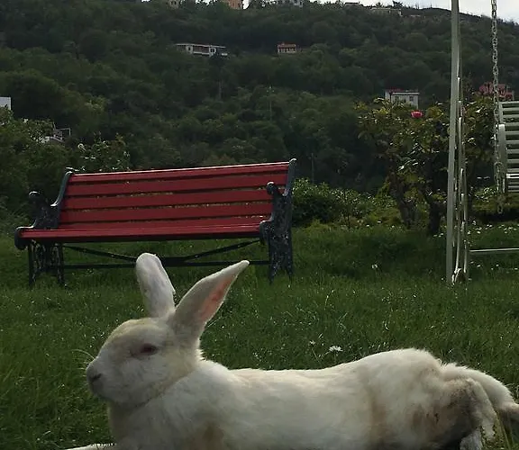 Paradiso Di Manu Hotel