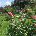 Paradiso Di Manu Noli