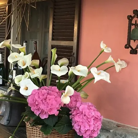 Hotel Paradiso Di Manù Noli