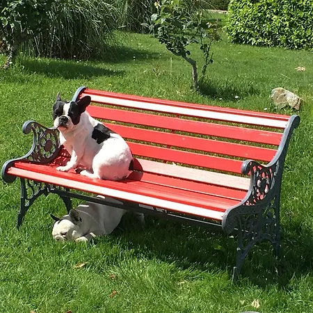 Paradiso Di Manu 3* Noli