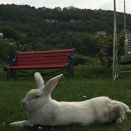 Paradiso Di Manu Hotel