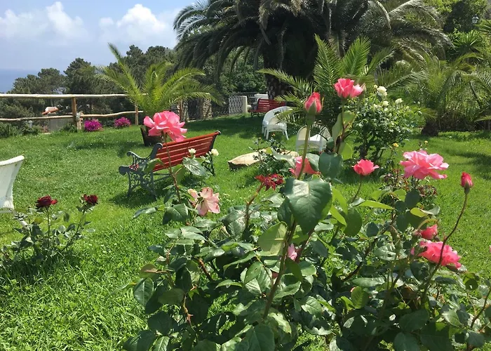 Paradiso Di Manu Noli